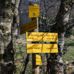2024-03 - Randonnée en Chartreuse - 04 - Mont Joigny - Paysages - 027
